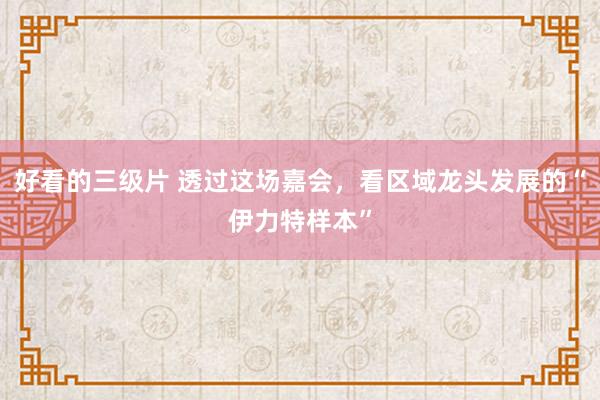好看的三级片 透过这场嘉会，看区域龙头发展的“伊力特样本”