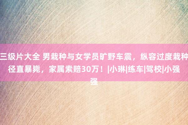三级片大全 男栽种与女学员旷野车震，纵容过度栽种径直暴毙，家属索赔30万！|小琳|练车|驾校|小强