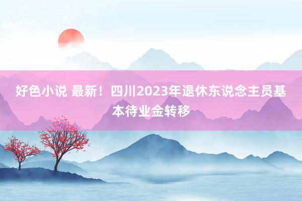 好色小说 最新!四川2023年退休东说念主员基本待业金转移