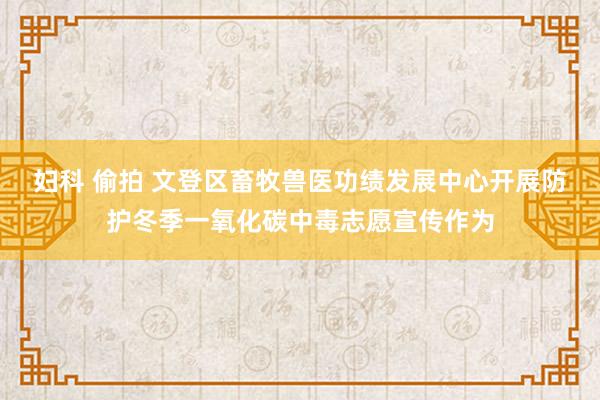 妇科 偷拍 文登区畜牧兽医功绩发展中心开展防护冬季一氧化碳中毒志愿宣传作为