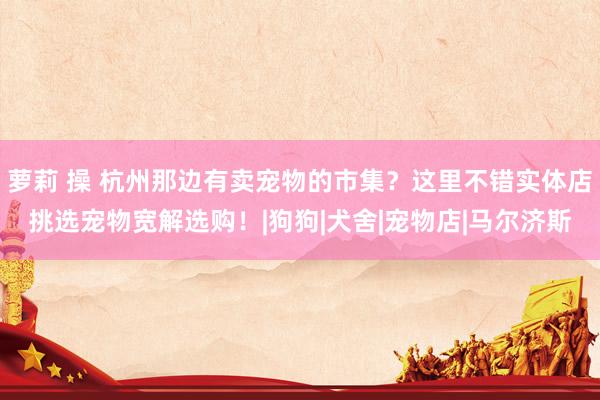 萝莉 操 杭州那边有卖宠物的市集？这里不错实体店挑选宠物宽解选购！|狗狗|犬舍|宠物店|马尔济斯