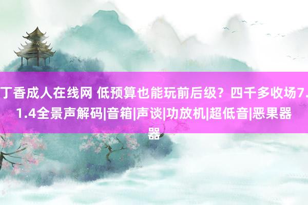 丁香成人在线网 低预算也能玩前后级？四千多收场7.1.4全景声解码|音箱|声谈|功放机|超低音|恶果器