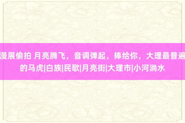漫展偷拍 月亮腾飞，音调弹起，捧给你，大理最普遍的马虎|白族|民歌|月亮街|大理市|小河淌水