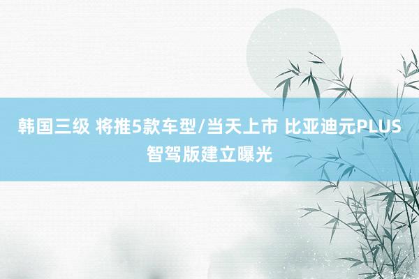 韩国三级 将推5款车型/当天上市 比亚迪元PLUS智驾版建立曝光