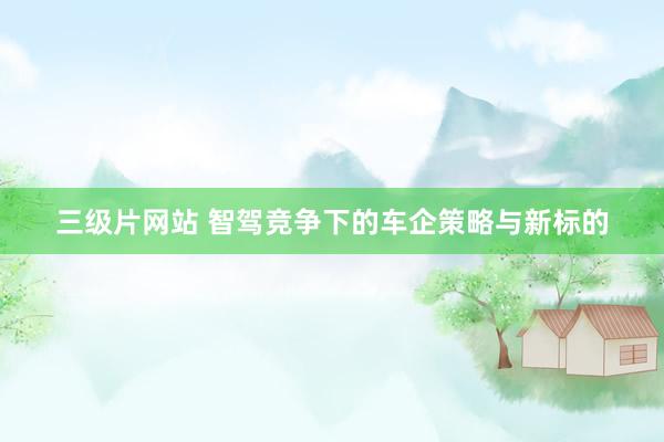 三级片网站 智驾竞争下的车企策略与新标的