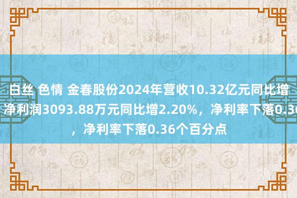 白丝 色情 金春股份2024年营收10.32亿元同比增14.65%，净利润3093.88万元同比增2.20%，净利率下落0.36个百分点