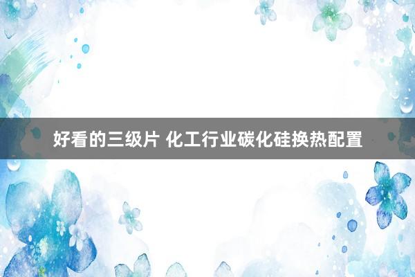 好看的三级片 化工行业碳化硅换热配置