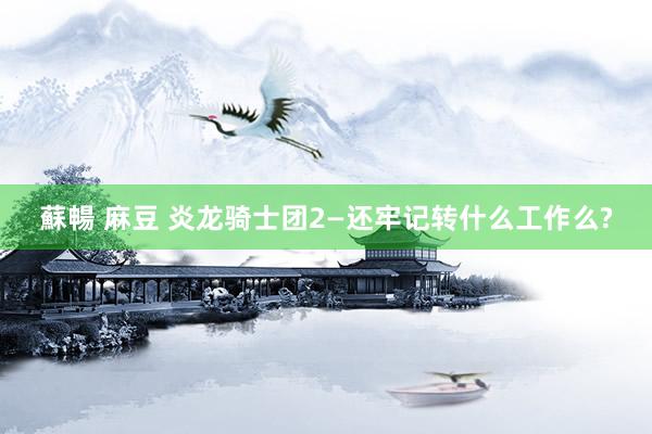 蘇暢 麻豆 炎龙骑士团2—还牢记转什么工作么?