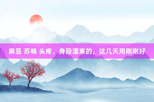 麻豆 苏畅 头疼，身段湿寒的，这几天用刚刚好