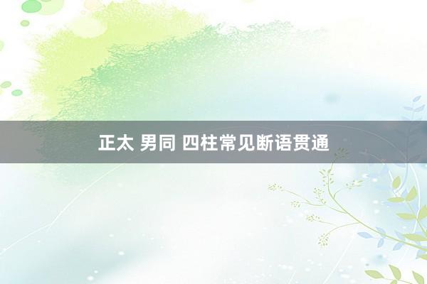 正太 男同 四柱常见断语贯通