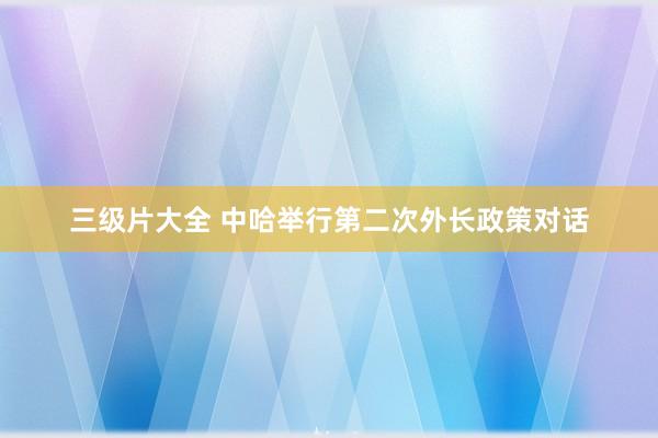 三级片大全 中哈举行第二次外长政策对话